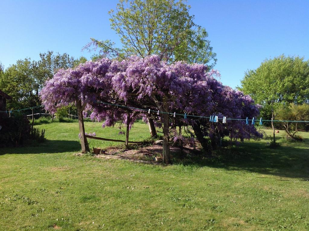 Wisteria House Bed & Breakfast Chanteloup  Dış mekan fotoğraf